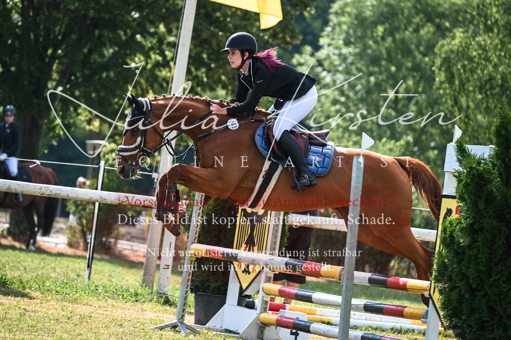 DSC_7829 | Pferde- und Turnierfotografie in Westsachsen. Pferdeportraits, Auftragszeichnungen und intuitive Kunst.