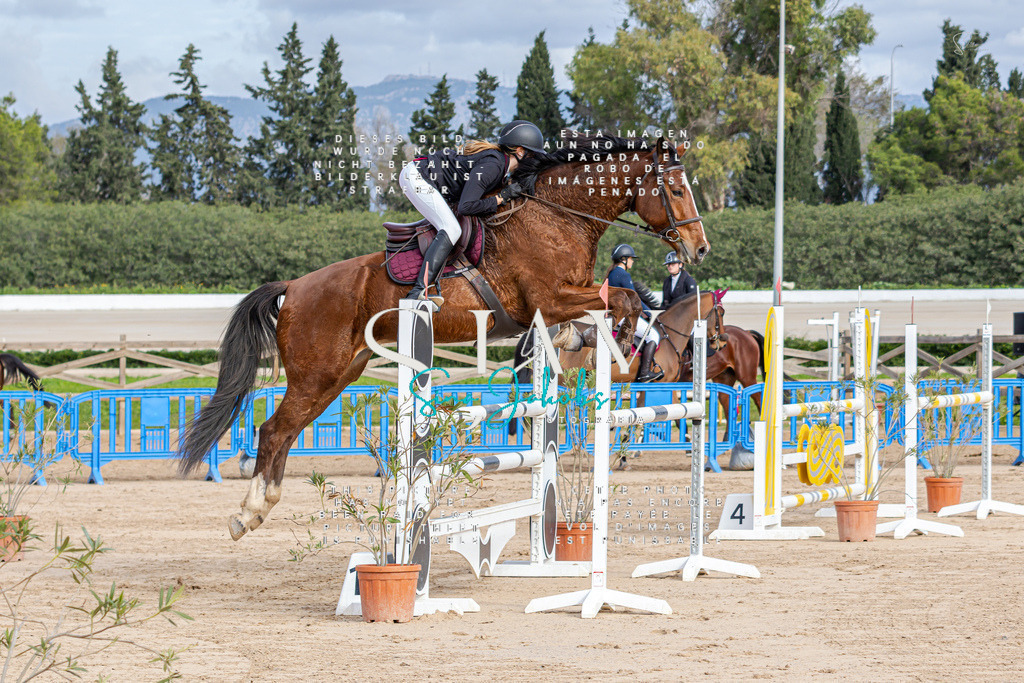 IMG_2498 | s-jay-photography - Realisiert mit Pictrs.com