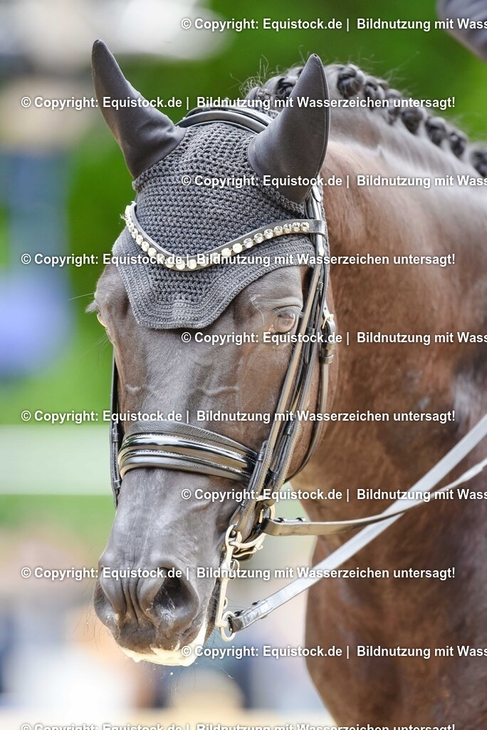 20250608_03_GP-Special-Tour_0588 | Foto: Thomas Hartig