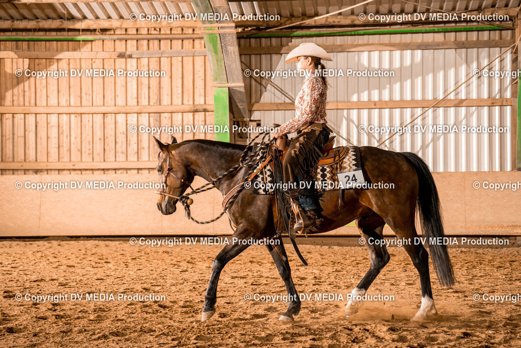 BAL03187 | dv-media-shop - Realisiert mit Pictrs.com