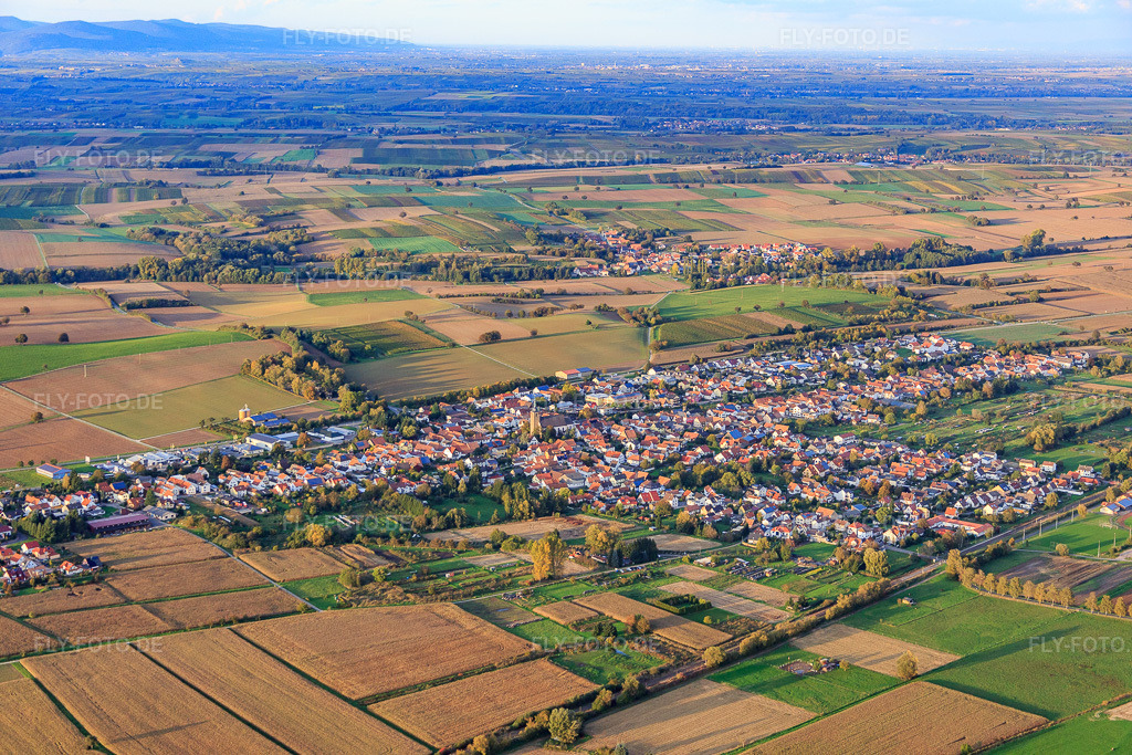 Luftbild: Dorfübersicht zwischen herbstlichen Feldern und Wiesen von Westen in Steinfeld im Bundesland Rheinland-Pfalz in Deutschland. Foto: IMG_074696.jpg vom 14.10.2014 durch Werner Riehm/FLY-FOTO.de