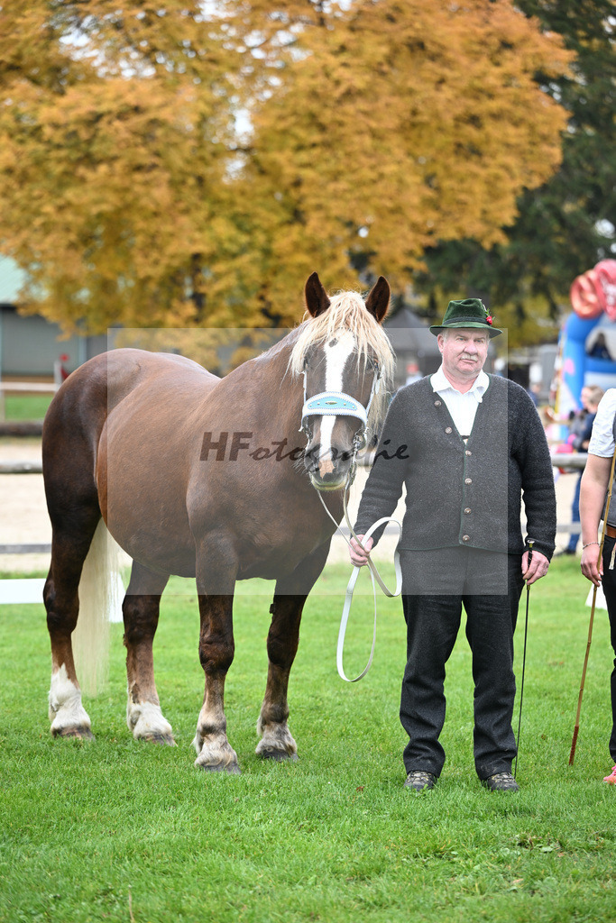 Kat-Nr. 23 Edelfee v. Vestus_Strauss_41250631 | hf-fotografie - Realizzato con Pictrs.com