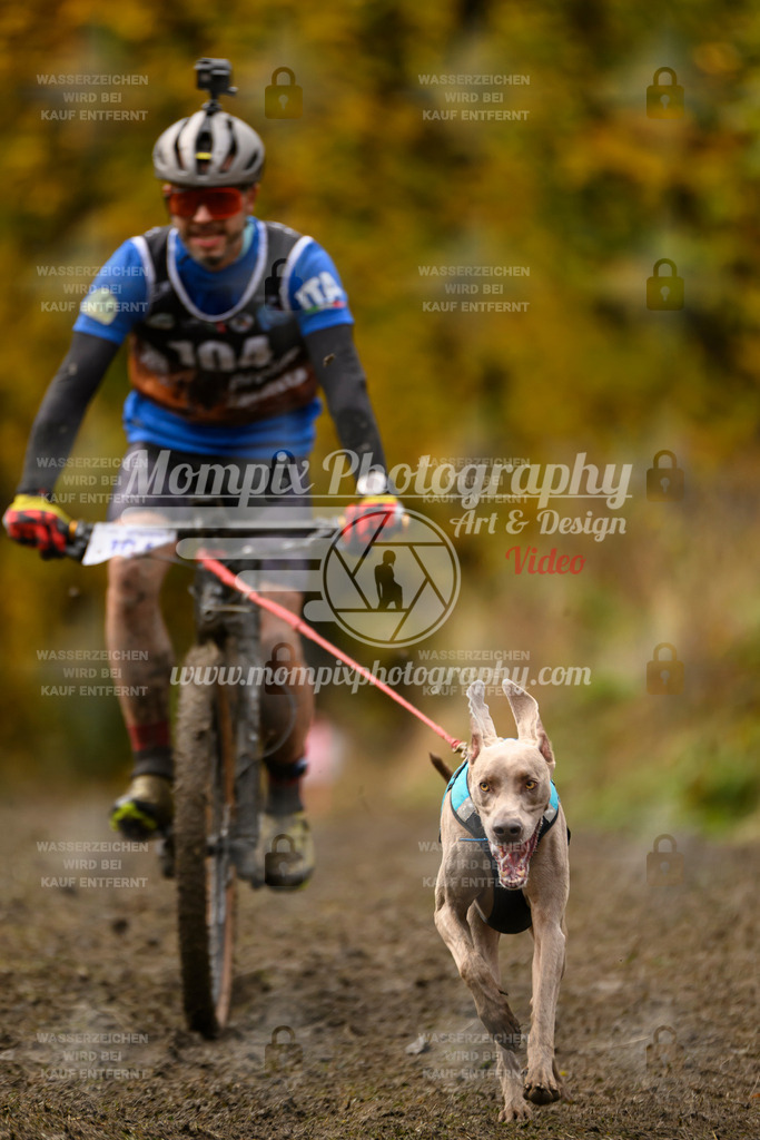 MompixPhotography_ICF_WC_2024_SA_Bike_-77 | PayLife