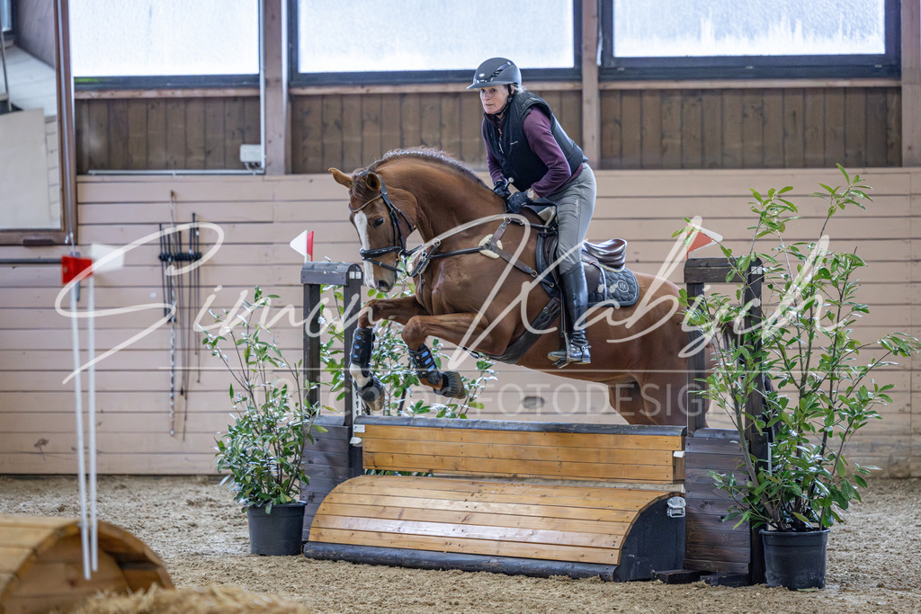 20260221-_3LI8584 | Tierfotografie Pferde, Hunde, Katzen, Haustiere.
Turnierfotografie Reitturniere, Reiten, Springreiten, Dressur in Hanau, dem Main-Kinzig-Kreis und dem Rhein-Main- Gebiet um Frankfurt