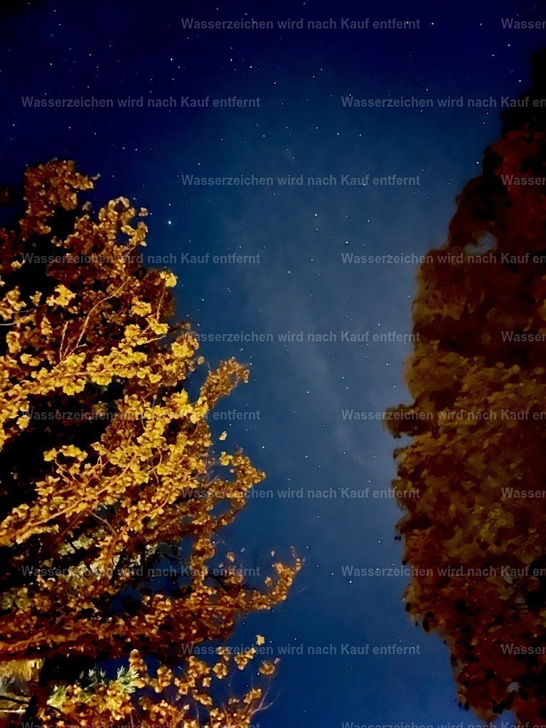 IMG_3108 | heikomoeller - Realisiert mit Pictrs.com