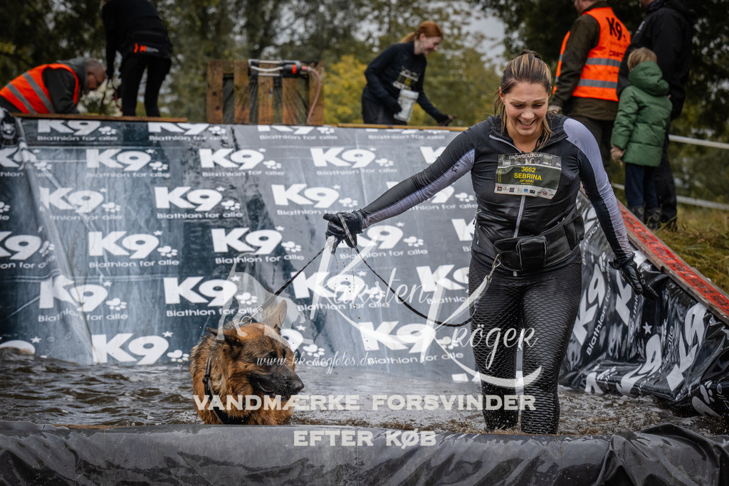 1210_ZZ94590 | kk-dogfotos