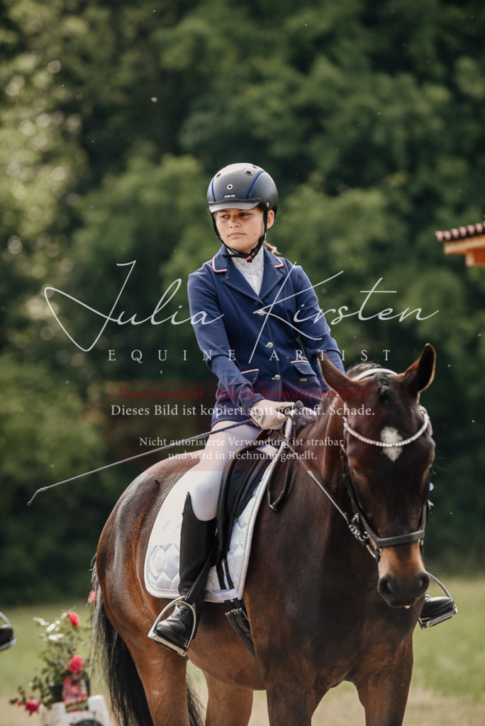 DSC_9096 | Pferde- und Turnierfotografie in Westsachsen. Pferdeportraits, Auftragszeichnungen und intuitive Kunst.
