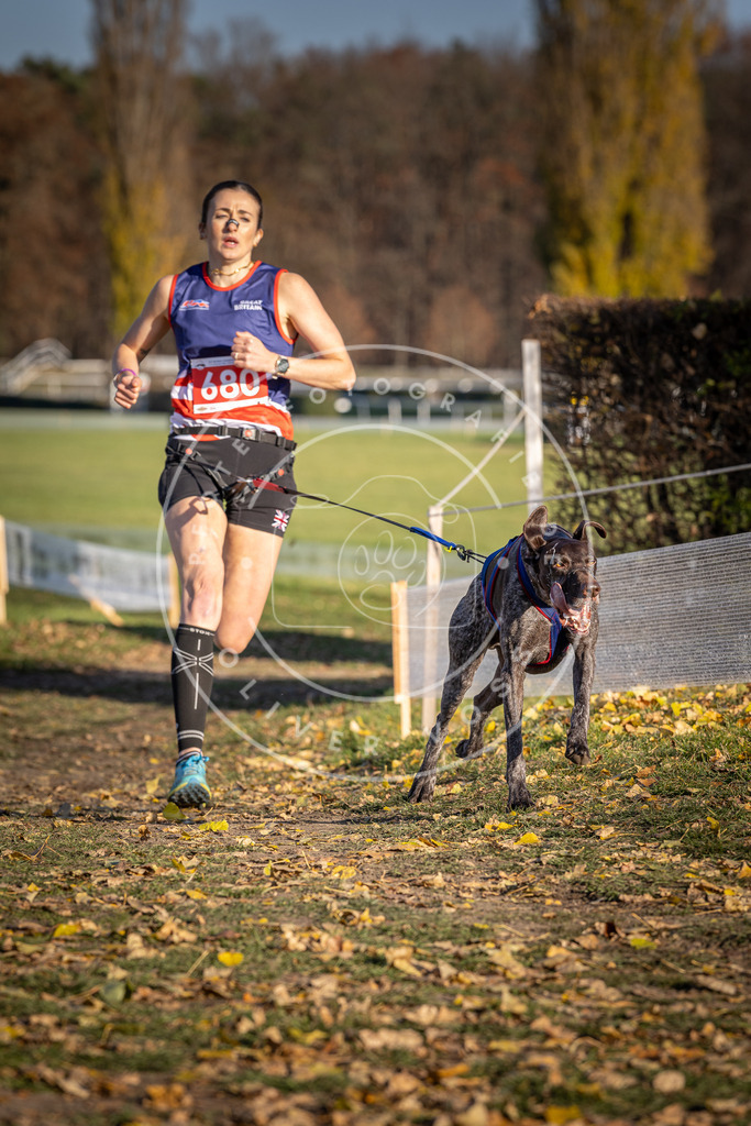 CaniXpix_DV3A1080 | Hundefotografie, Tierfotograf, Pfotenfotografie, Fotoshooting Hund, Hunde Portrait, Hundesport, Hundeportraits, Heideshooting, Hunde, Sportfotograf, Hundefotograf, Turnierhundsport, THS,  - Realisiert mit Pictrs.com