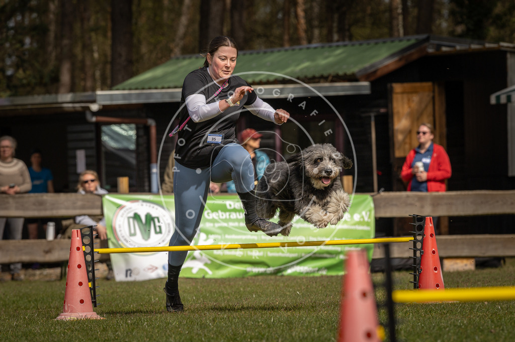 Pfotenfotografie_DV3A6344 | Hundefotografie, Tierfotograf, Pfotenfotografie, Fotoshooting Hund, Hunde Portrait, Hundesport, Hundeportraits, Heideshooting, Hunde, Sportfotograf, Hundefotograf, Turnierhundsport, THS,  - Realisiert mit Pictrs.com