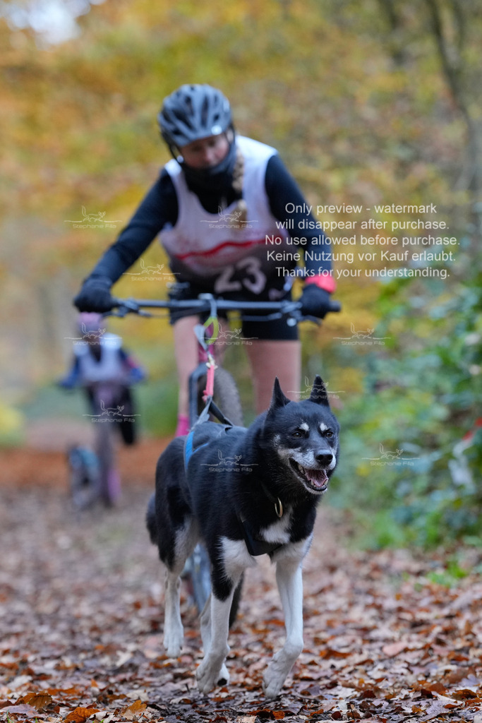 Scooter_So-79 | stephaniefillaphotographie - Realisiert mit Pictrs.com