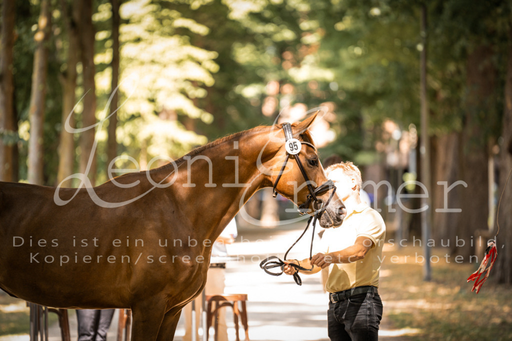 FrPfM00249 | Leoni Ertmer Photography - Realisiert mit Pictrs.com