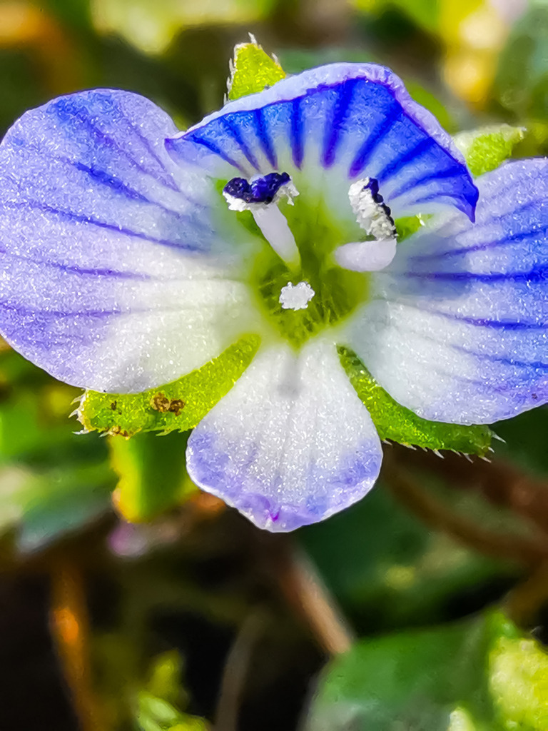 PSX_20230214_233415 | mtkfoto_ - Realisiert mit Pictrs.com