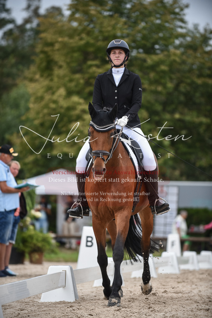 DSC_7975 | Pferde- und Turnierfotografie in Westsachsen. Pferdeportraits, Auftragszeichnungen und intuitive Kunst.