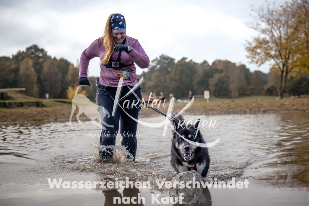 1339_ZZ94466 | kk-dogfotos