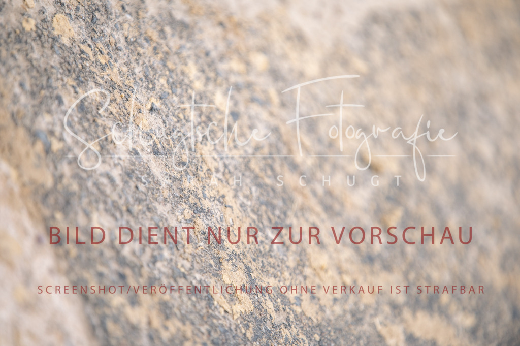 Schugtsche-Aluta25-41.Amat-Dressurprf.A_-371 | Schugtsche Fotografie - Realized with Pictrs.com