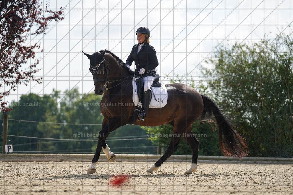 20230826-FAH06063 | Forstinning, 2023, Dressurturnier, Turniersportbilder, Turnierfotografen Bayern, Fotoagentur Herrmann, Reitsportfotografie, Turnierbilder