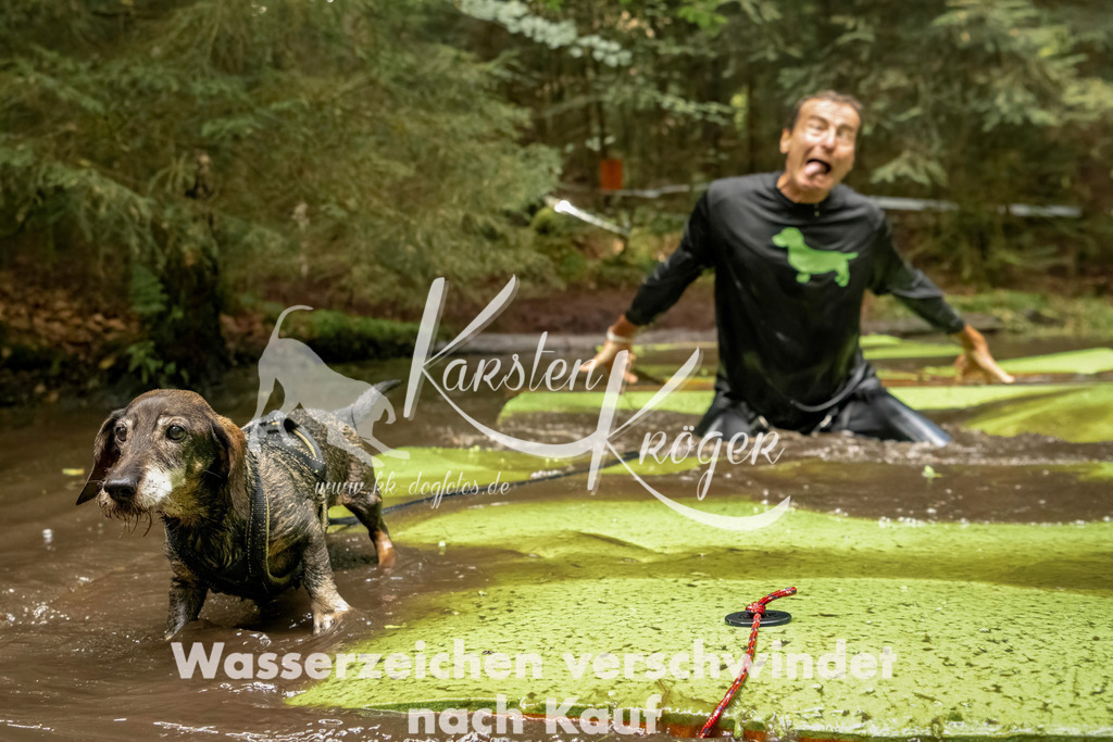 1224_ZZ94482-Bearbeitet | kk-dogfotos