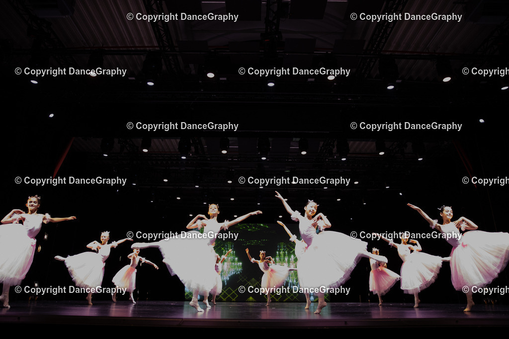 GPHY5651 | DanceGraphy - Realisiert mit Pictrs.com