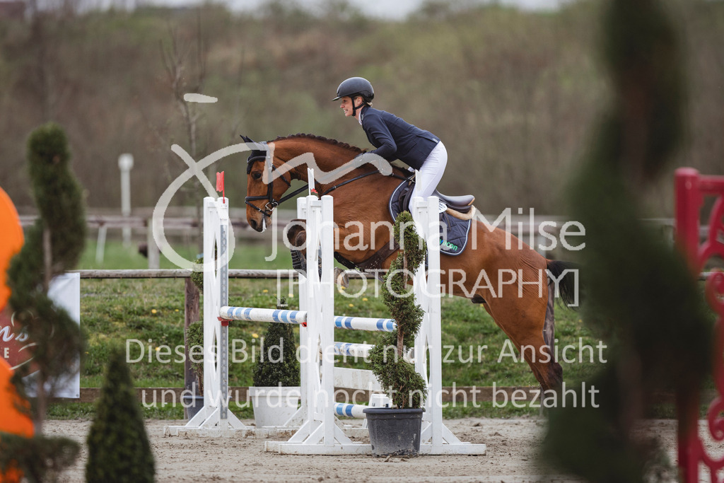 240330_Fruehlingsfest_Stil-A2-2-736 | Deine schönsten Turniermomente als professionelle Fotos! Entdecke hochwertige Pferdesport-Fotografie im Online-Shop. Jetzt Fotos finden & bestellen!