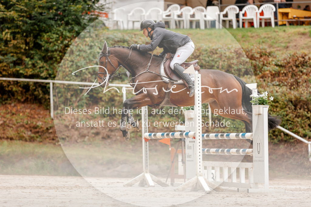 3I6A5908 | Stimmungsvolle Portraits und Reitsportfotografie im Ruhrgebiet und im Münsterland.

Pferdefotografie, Hundefotografie, Tierfotografie, Reportagen, Portraits von Tier und Mensch, Turnierfotografie in Bochum, Recklinghausen, Marl, Haltern am See, Dülmen.. - Realisiert mit Pictrs.com