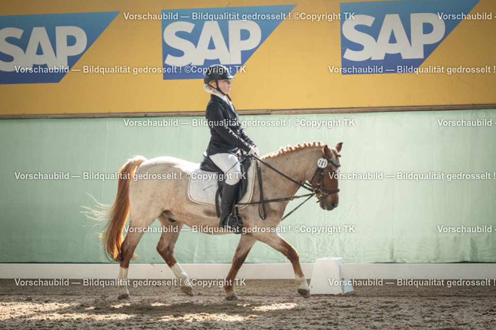 _D5A5604 | Emotionale Pferde- & People-Fotografie rund um Heidelberg, Leimen & Umgebung. Natürliche Fotos von Pferd, Mensch & Familie. Jetzt Termin sichern!