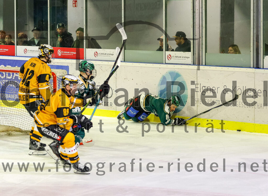 2026-02-27_112_TSV_Erding_gegen_EV_Fuessen | Erding, Deutschland, 27.02.2026:Eishockey, Oberliga Süd 2025 / 2026, 51. Spieltag, TSV Erding gegen EV Füssen, Endergebnis: 2:4Maximilian Forster (Erding Gladiators, #81)Foto: Christian Riedel / fotografie-riedel.net