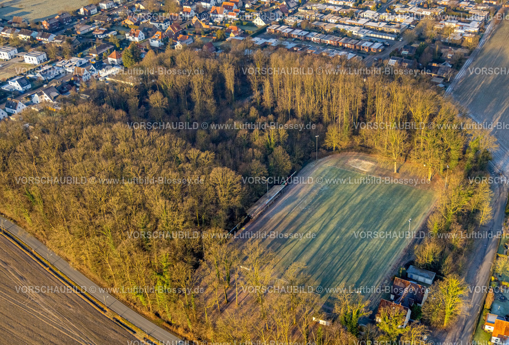 Hamm250200386Rhynern | Luftbild, Waldgebiet mit Schattenwurf von Bäumen auf dem Fußballplatz Am Sportplatz Ecke An der Lohschule, SV Westfalia Rhynern e.V., Stadtbezirk Rhynern, Hamm, Ruhrgebiet, Nordrhein-Westfalen, Deutschland