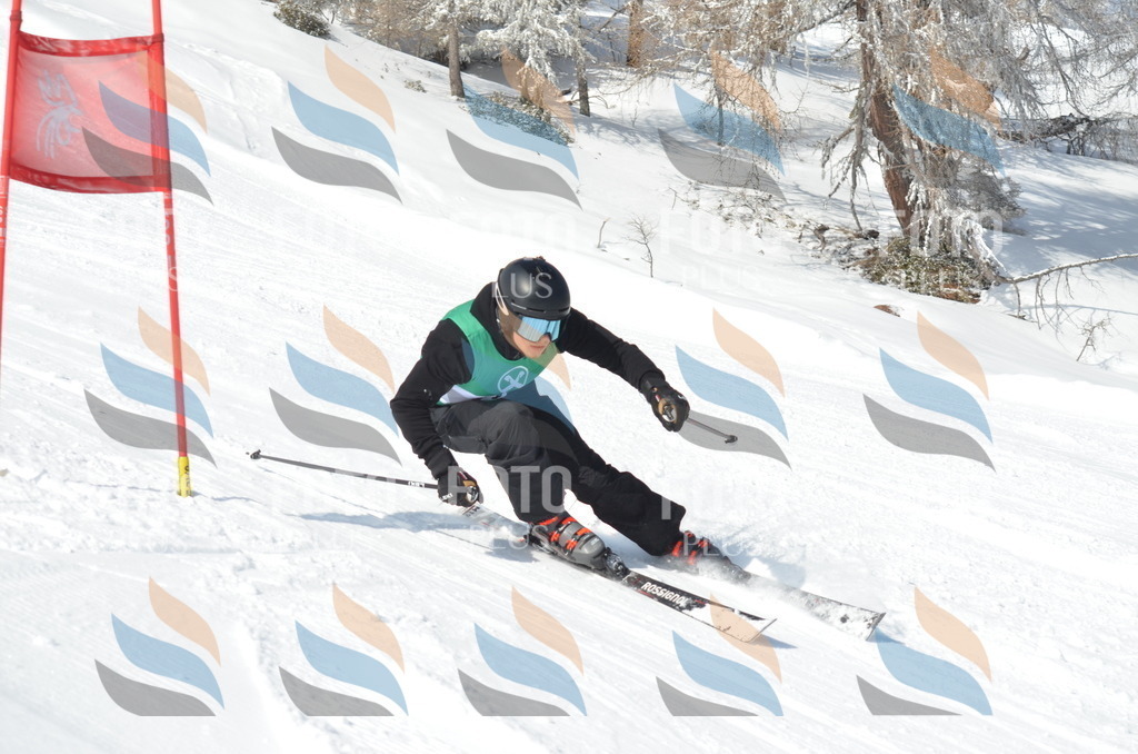 D9157 | holidayphoto