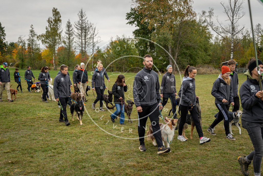 Pfotenfotografie_0L8A0208 | Hundefotografie, Tierfotograf, Pfotenfotografie, Fotoshooting Hund, Hunde Portrait, Hundesport, Hundeportraits, Heideshooting, Hunde, Sportfotograf, Hundefotograf, Turnierhundsport, THS,  - Realisiert mit Pictrs.com