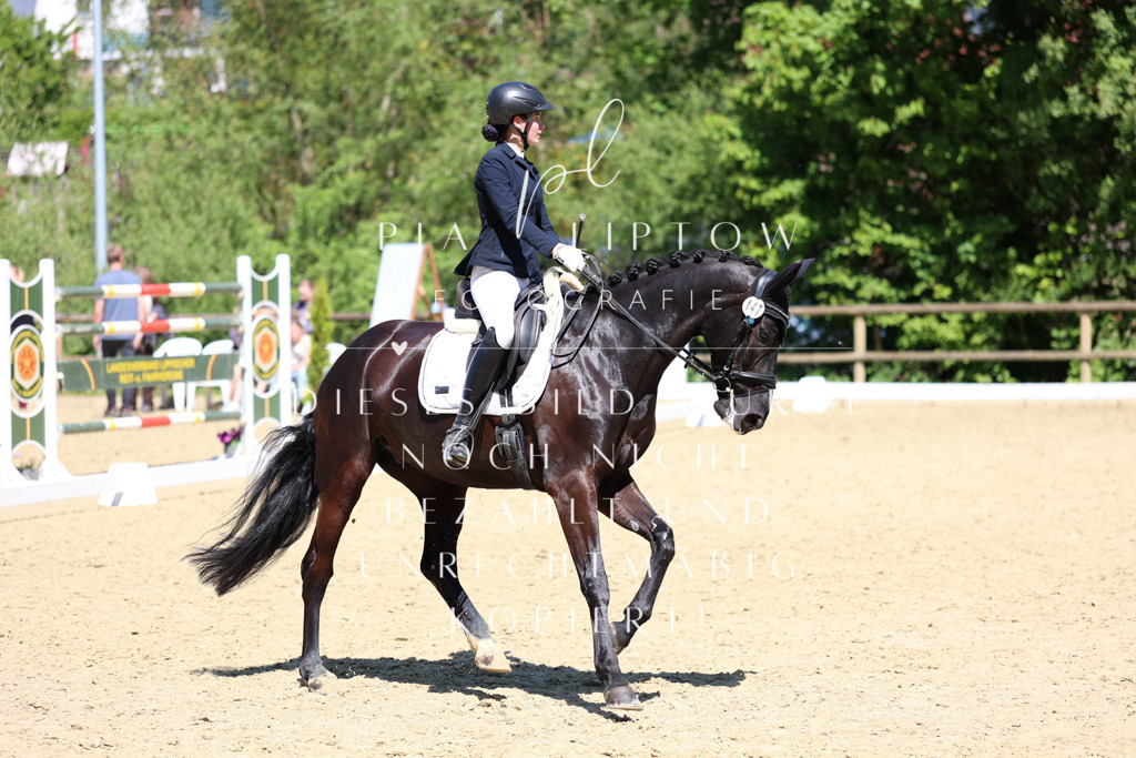 IMGS2076 | pl-fotografie