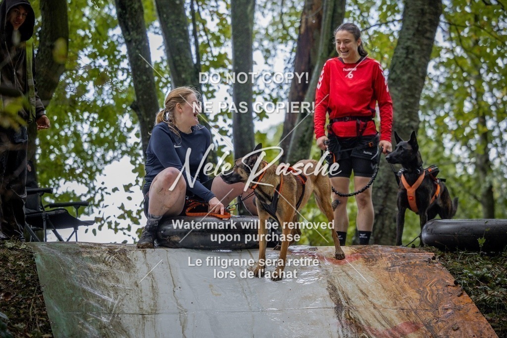 nelerasche_Hunsrück_Sa1430-1500_84-final | nelerasche