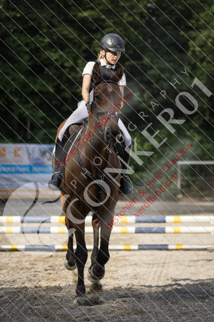 IMG_5994 | Sport-, Event- und Tierfotos in Profiqualität. Einfach auswählen, bestellen und herunterladen. Dein Moment – perfekt festgehalten.