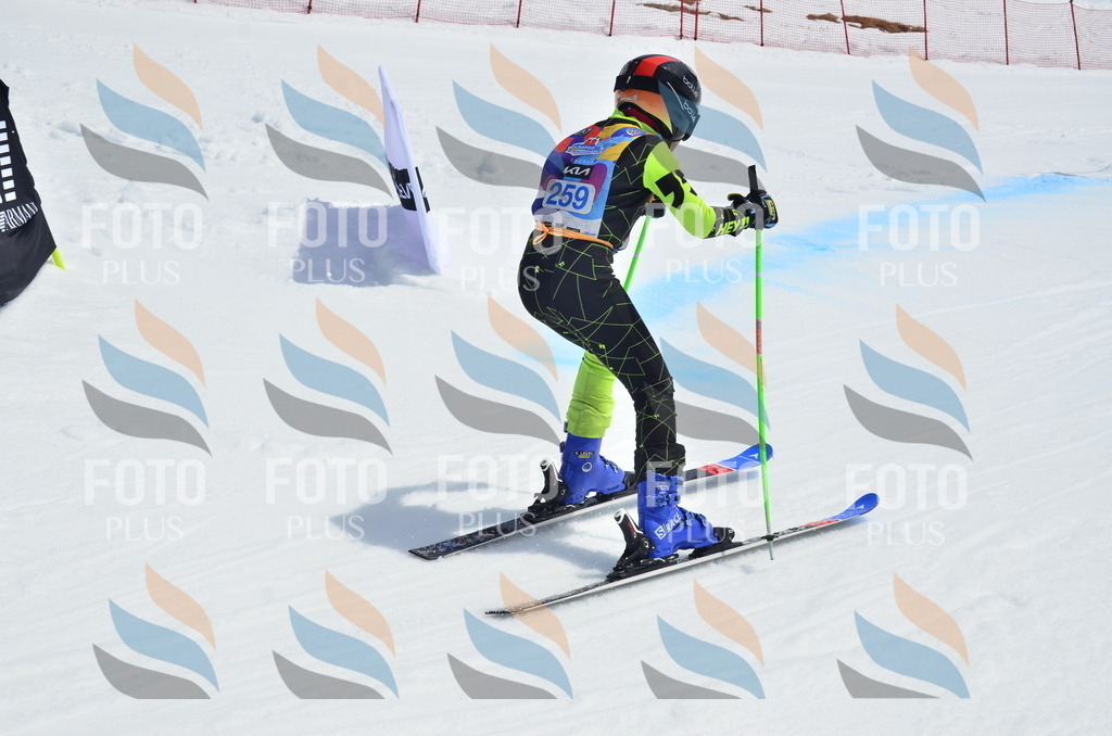 _ELE1923 | holidayphoto