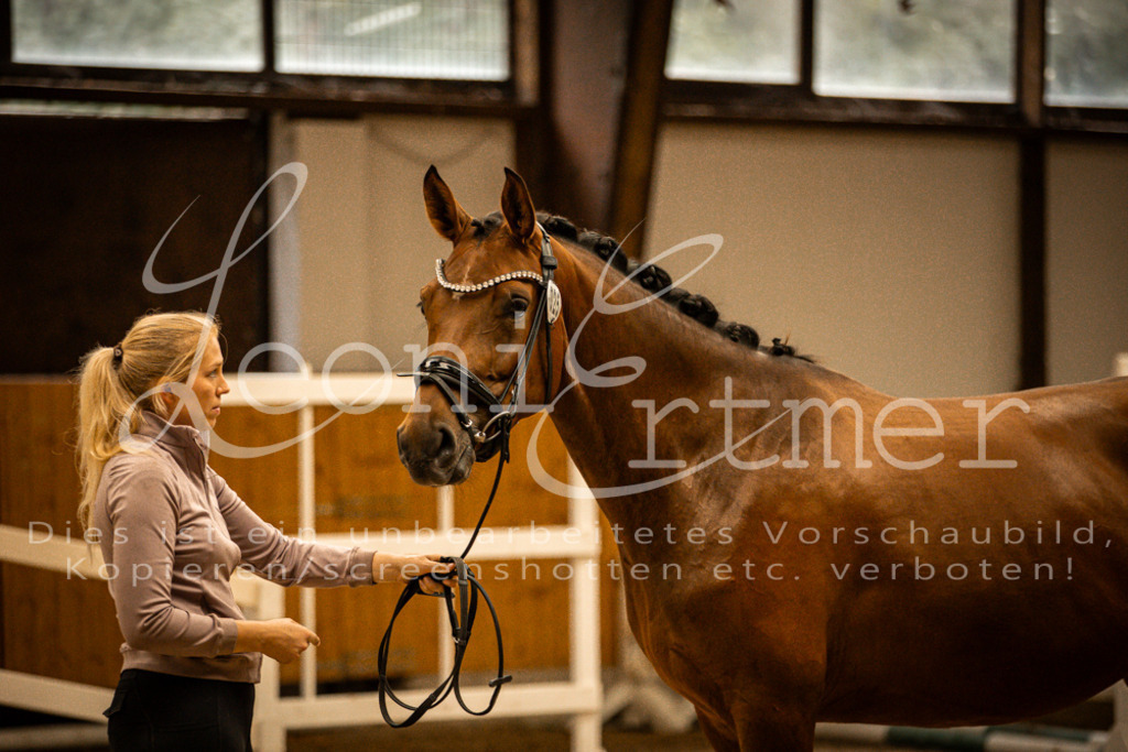 2FS_L00162 | Leoni Ertmer Photography - Realisiert mit Pictrs.com