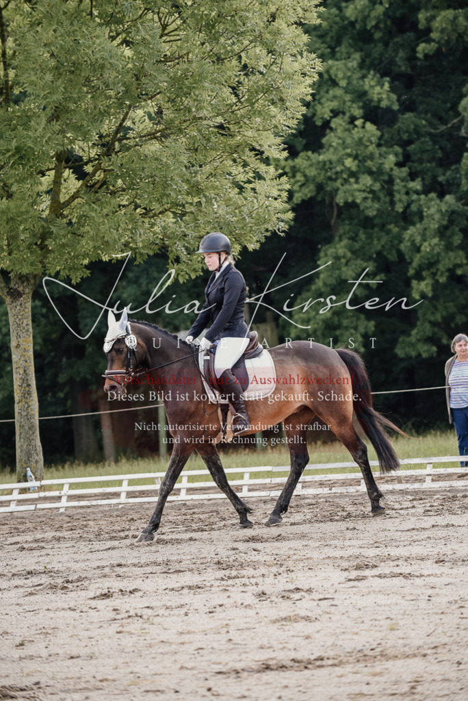 DSC_8163 | Pferde- und Turnierfotografie in Westsachsen. Pferdeportraits, Auftragszeichnungen und intuitive Kunst.