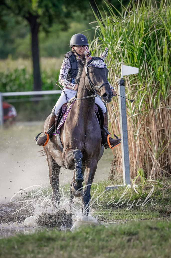20250906-_3LI7929 | Tierfotografie Pferde, Hunde, Katzen, Haustiere.
Turnierfotografie Reitturniere, Reiten, Springreiten, Dressur in Hanau, dem Main-Kinzig-Kreis und dem Rhein-Main- Gebiet um Frankfurt