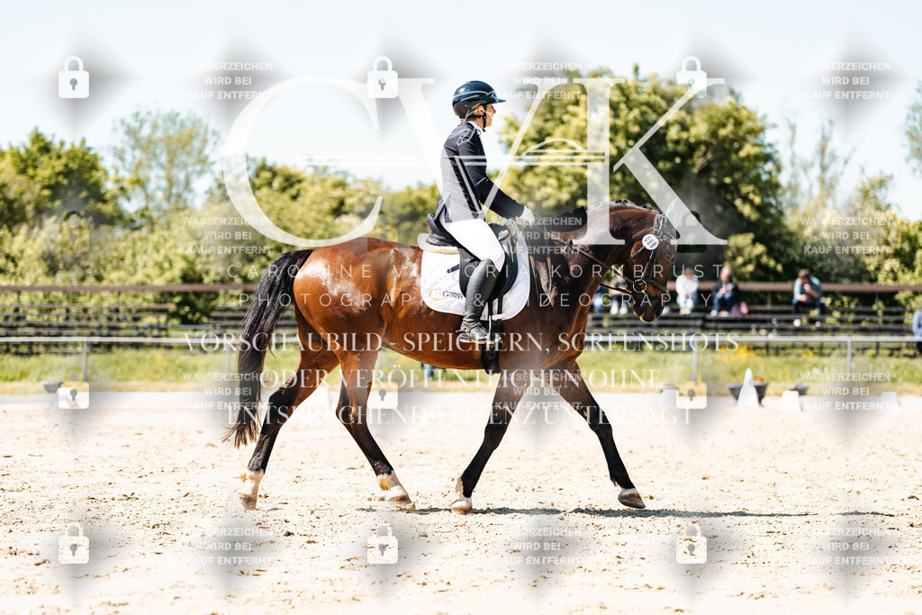 CK905652 | Turnierfotografie Pferdefotografie Trier Rheinland-Pfalz Pferdesport Reitsport Tierfotografie Sportfotografie Pferdevideo Pferdevideografie Equestrianvideography equestrianphotography  - Realisiert mit Pictrs.com