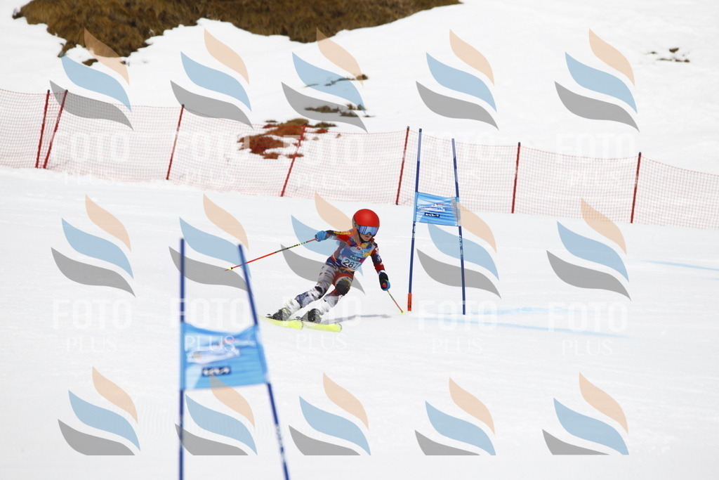 _U3G7182 | holidayphoto