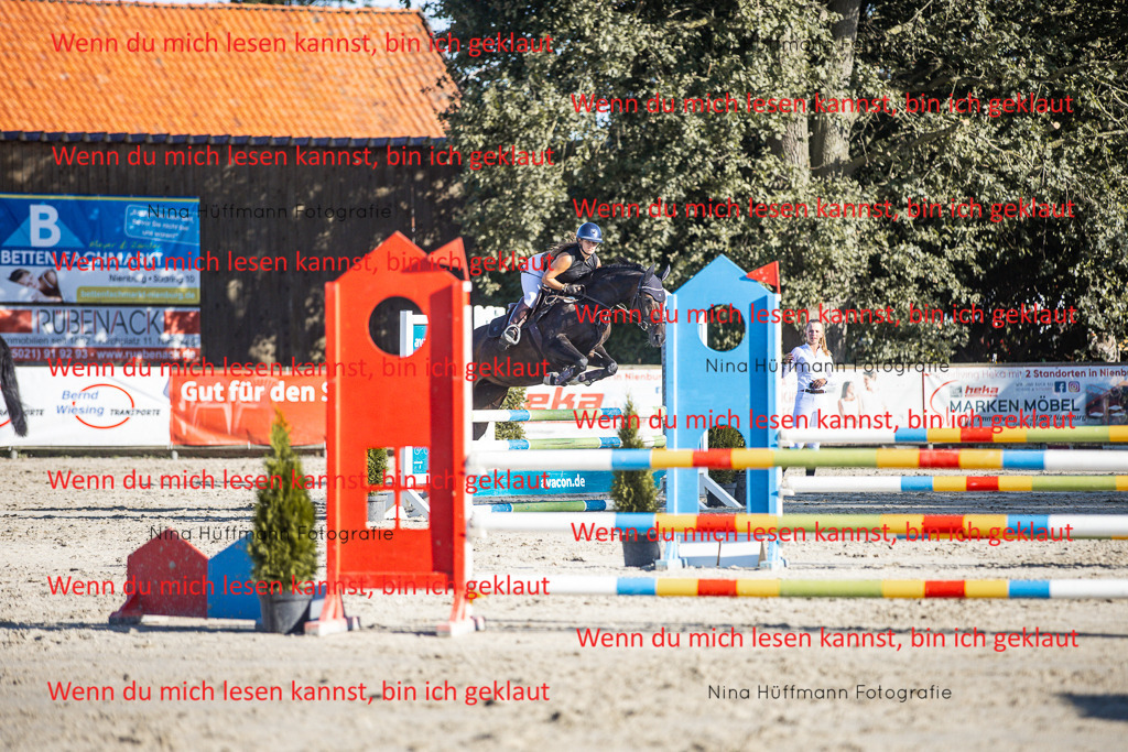 BK1A7660 | Turnierbilder Turnierfotos Nina Hüffmann Turnierfotografie Pferdefotografie Tierzeichnung Haustierzeichnung Pferdezeichnung Hundezeichnung Videograf  - Realisiert mit Pictrs.com