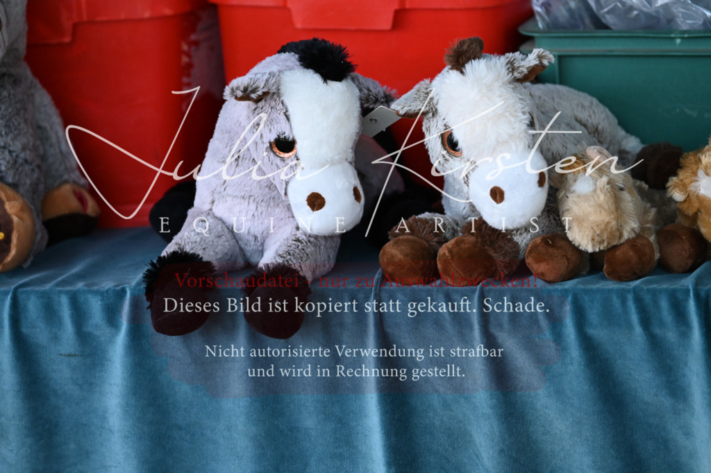 DSC_1821 | Pferde- und Turnierfotografie in Westsachsen. Pferdeportraits, Auftragszeichnungen und intuitive Kunst.
