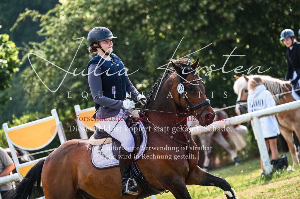 DSC_8004 | Pferde- und Turnierfotografie in Westsachsen. Pferdeportraits, Auftragszeichnungen und intuitive Kunst.