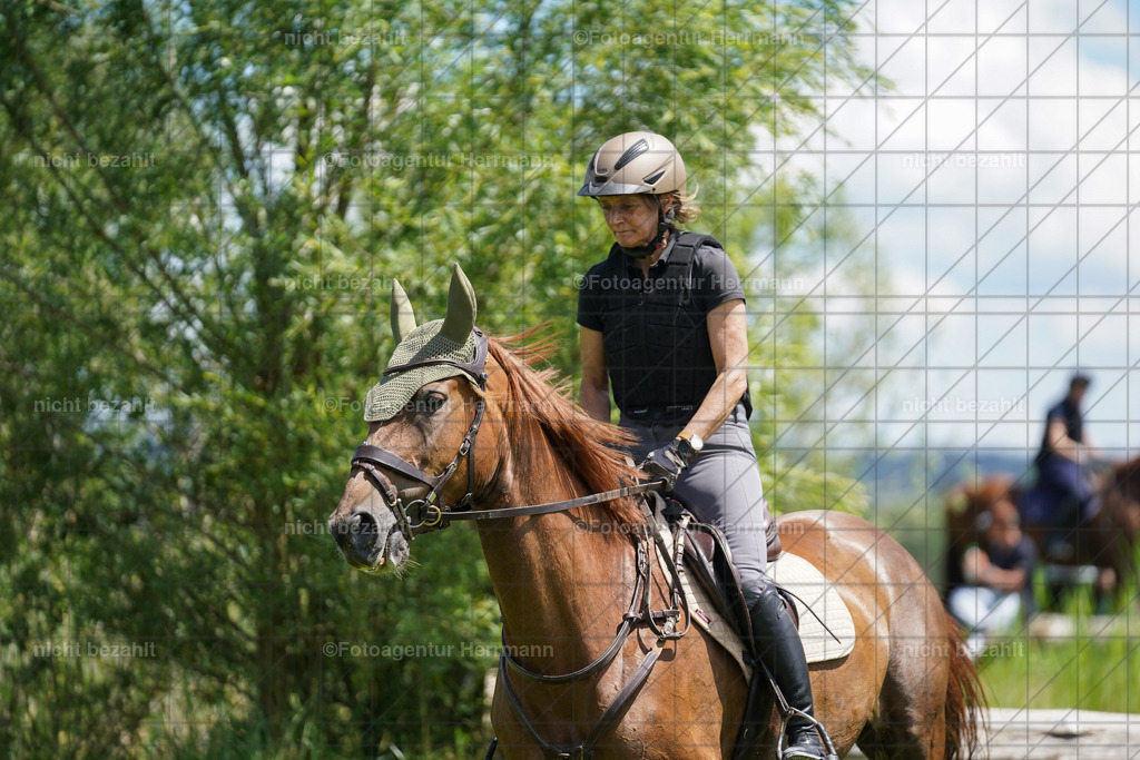 20240622-FAH07101 | Turnierfotografen Bayern, Reitsportbilder aus dem Geländekurs mit Felix Etzel auf dem Gut Waitzacker 2024