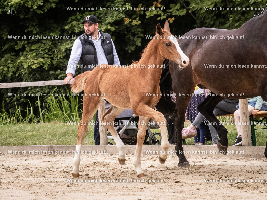 A10I9843 | photographylinaismer - Realisiert mit Pictrs.com