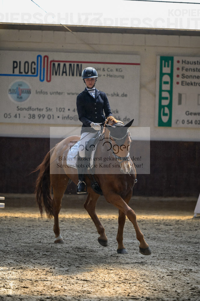 Reitturnier Voxtrup | Entdecke hochwertige Reitturnierfotos von Foto Oger. Professionell, emotional und authentisch – jetzt Lieblingsmomente im Shop bestellen.Deutschlandweite Turnierfotografie. - Realisiert mit Pictrs.com