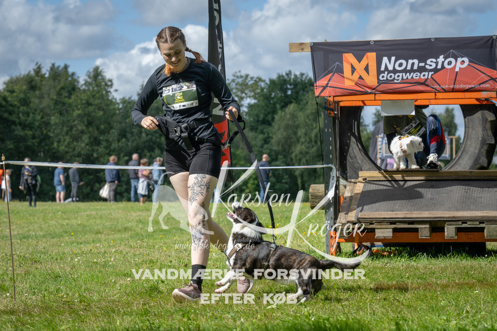 1535_ZZ93279 | kk-dogfotos