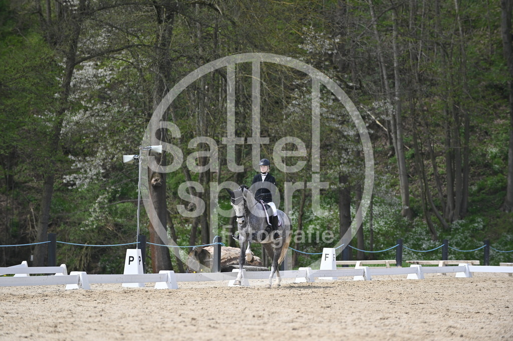 DSC_3585 | sattelsport - Realisiert mit Pictrs.com