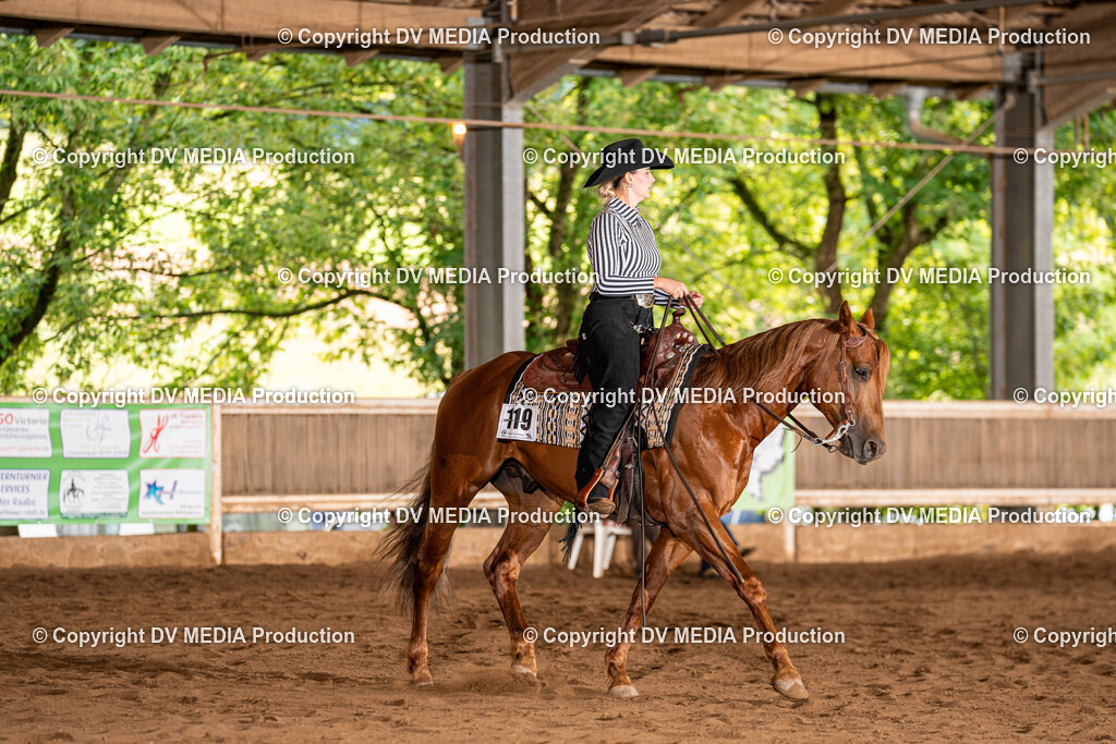 Erbach Tag 1-220 | dv-media-shop - Realisiert mit Pictrs.com