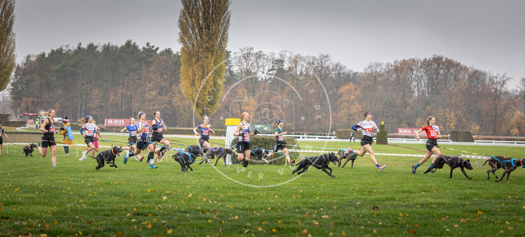 CaniXpix_DV3A8737 | Hundefotografie, Tierfotograf, Pfotenfotografie, Fotoshooting Hund, Hunde Portrait, Hundesport, Hundeportraits, Heideshooting, Hunde, Sportfotograf, Hundefotograf, Turnierhundsport, THS,  - Realisiert mit Pictrs.com