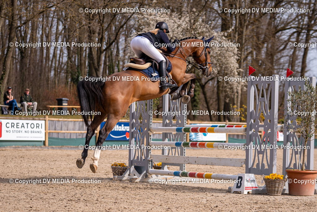 Kranichstein Tag 1-696 | dv-media-shop - Realisiert mit Pictrs.com