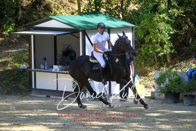 DKP43297 | Turniersportfotografie; Pferdefotografie; Dressurfotografie